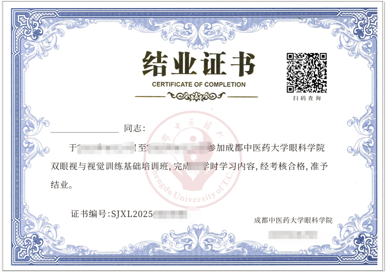 视觉训练证书模板 视觉训练证书模板